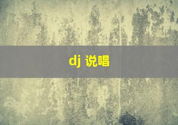 dj 说唱